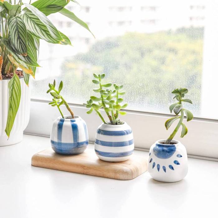 Set Of Six Mini Ceramic Japanese Style Plant Pot By Momentum Set Of Six Mini Ceramic Japanese Style Plant Pot By Momentum